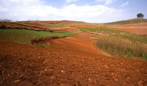 土壤墑情監(jiān)測儀